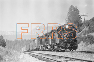 Staff_WP_-_662_R_thumbnail.jpg
