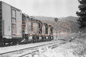 Staff_WP_-_663_R_thumbnail.jpg