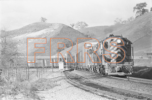 Staff_WP_-_664_R_thumbnail.jpg