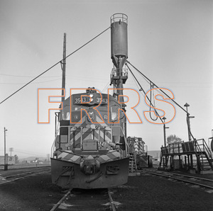 Staff_WP_-_673_R_thumbnail.jpg