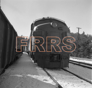 Staff_WP_-_674_R_thumbnail.jpg