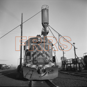Staff_WP_-_677_R_thumbnail.jpg
