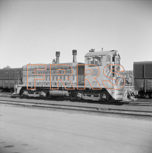 Staff_WP_-_678_R_thumbnail.jpg