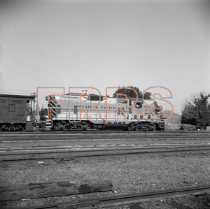 Staff_WP_-_685_R_thumbnail.jpg