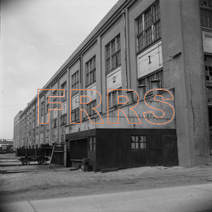 Staff_WP_-_686_R_thumbnail.jpg