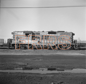 Staff_WP_-_701_R_thumbnail.jpg