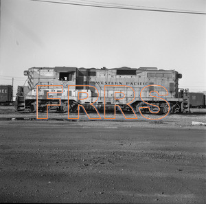 Staff_WP_-_702_R_thumbnail.jpg