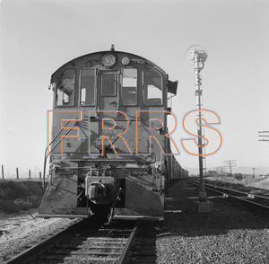 Staff_WP_-_704_R_thumbnail.jpg