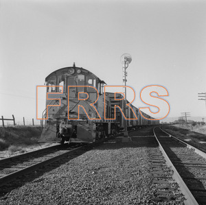 Staff_WP_-_705_R_thumbnail.jpg