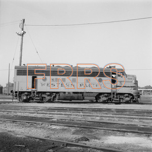 Staff_WP_-_710_R_thumbnail.jpg