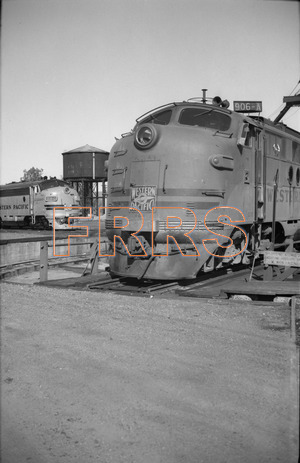 Staff_WP_-_721_R_thumbnail.jpg