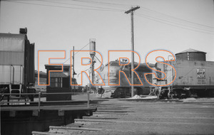 Staff_WP_-_724_R_thumbnail.jpg