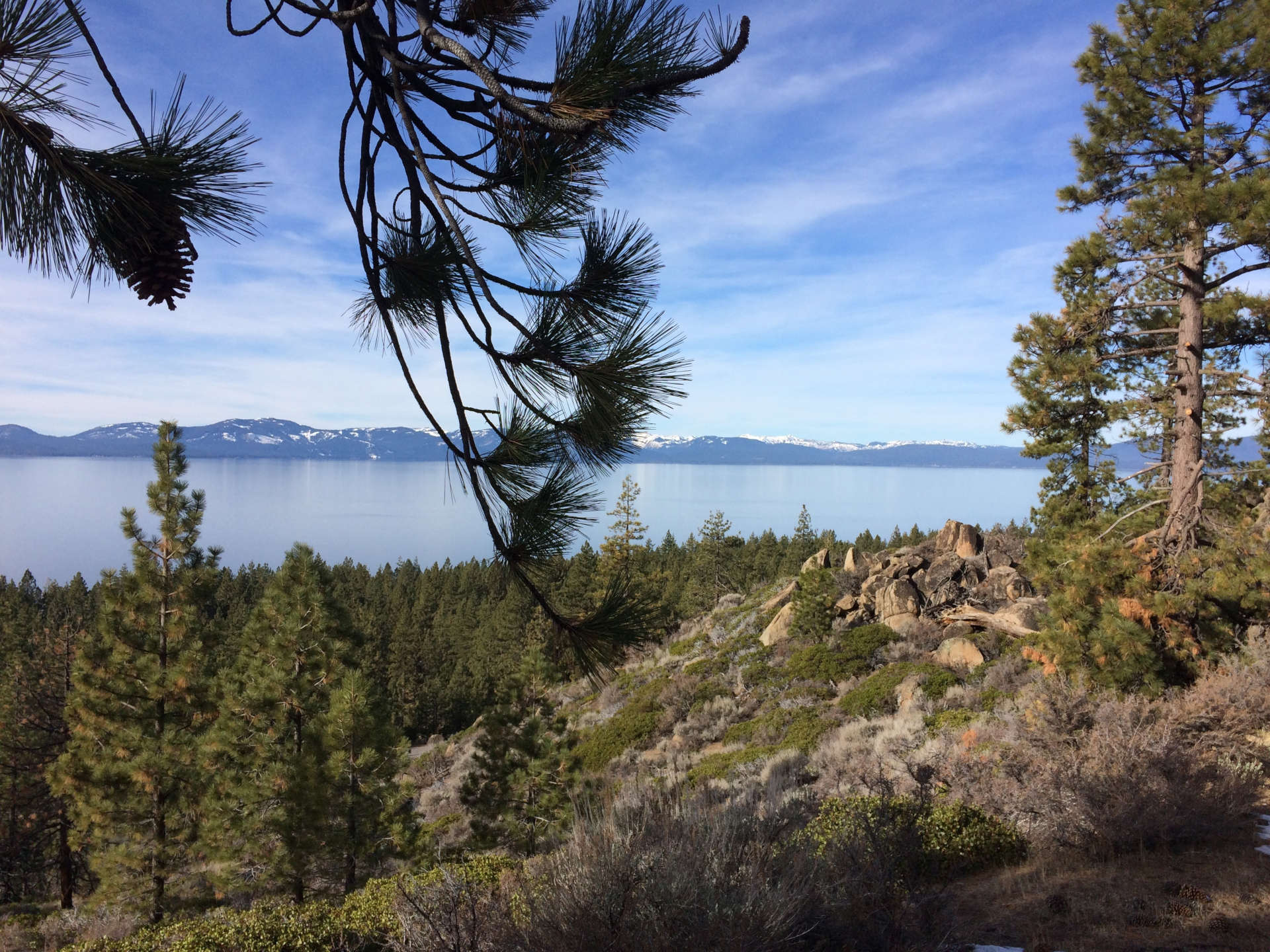 On-the-east-shore-looking-north-sm