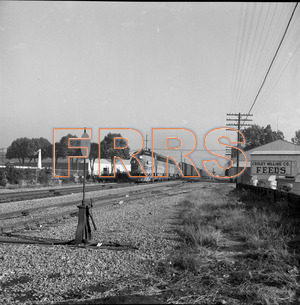WP_490-014_R.TIF_300x305_with_watermark.jpg