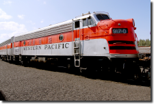 WP 917D