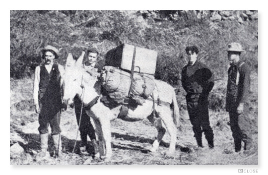 Early Survey Team